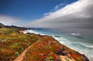 Garrapata beach-6620